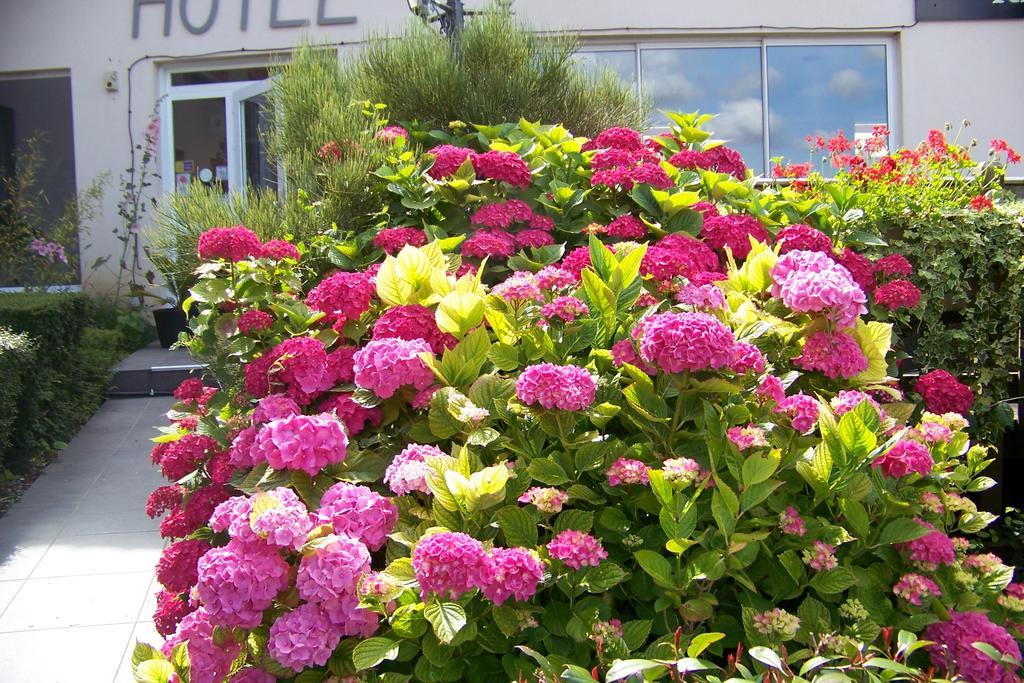 Hotel Bal Tournehem Exteriér fotografie